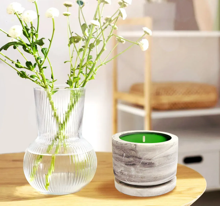 Soy Candle-Making Kit MEDIUM in Gypsum Pot